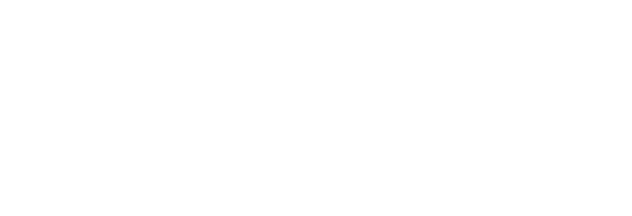 Poluprikolica Lider transport